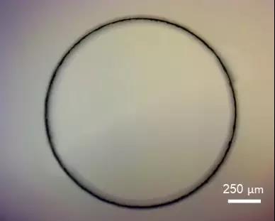 1529567481453000.jpg 006.jpg