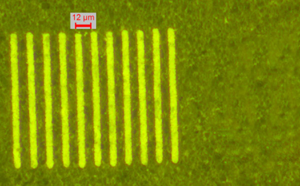 1531363012826838.jpg 未標(biāo)題-2 拷貝.jpg