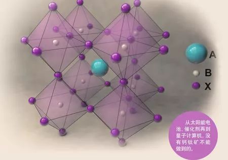 1690536456743166.jpg 640.jpg